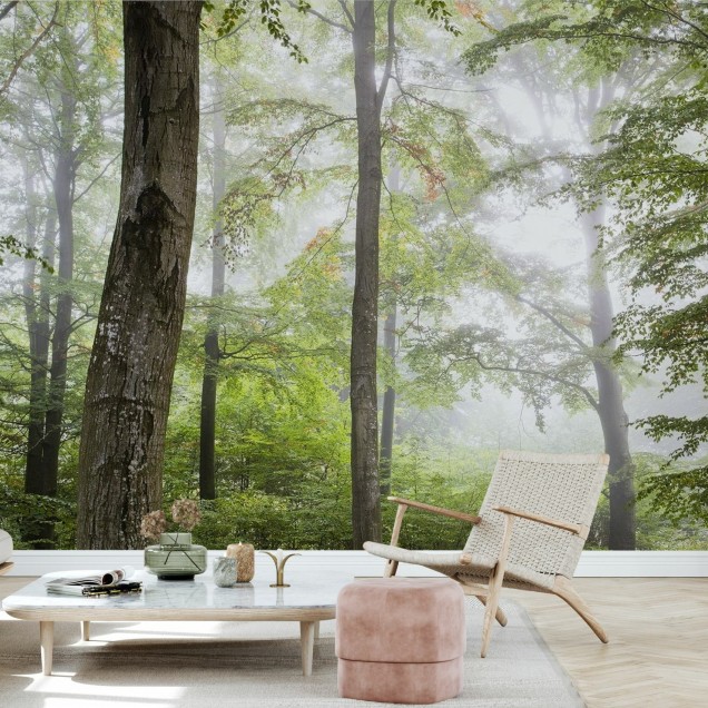 Tapet foto Forest Fog cu imaginea unei paduri învăluite în ceață