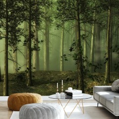 Fototapet Foggy Forest, Personalizat, Photowall