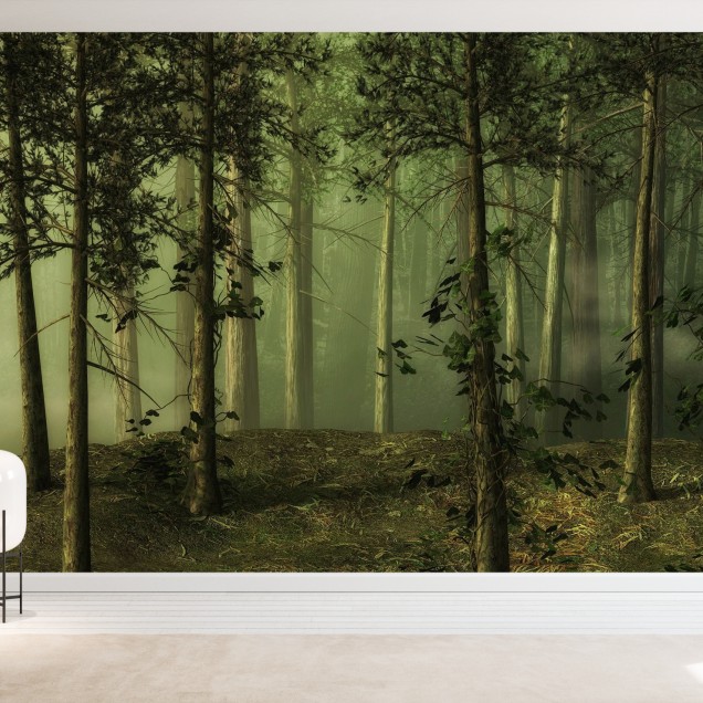 Tapet perete Foggy Forest cu o imagine a unei păduri învelite în ceață
