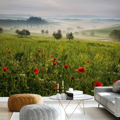 Imagine de fundal cu o priveliște din Toscana, cu dealuri verzi, flori roșii și ceață