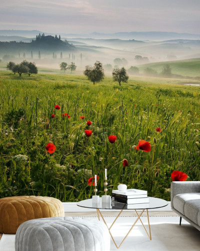 Imagine de fundal cu o priveliște din Toscana, cu dealuri verzi, flori roșii și ceață