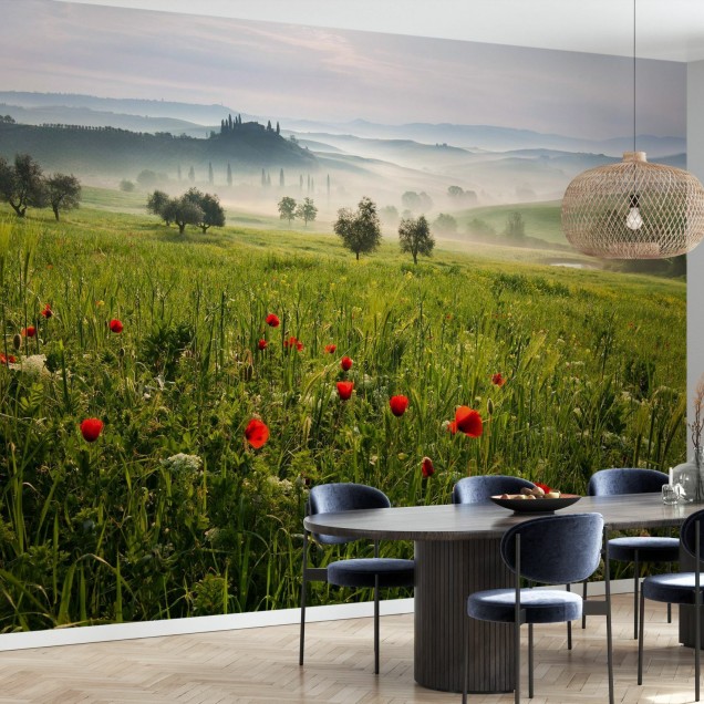 Imagine de fundal cu o priveliște din Toscana, cu dealuri verzi, flori roșii și ceață