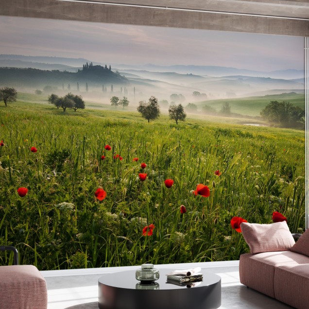 Imagine de fundal cu o priveliște din Toscana, cu dealuri verzi, flori roșii și ceață