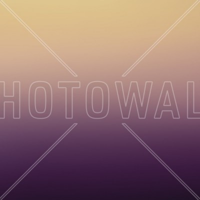 Miami Fairytale, Photowall