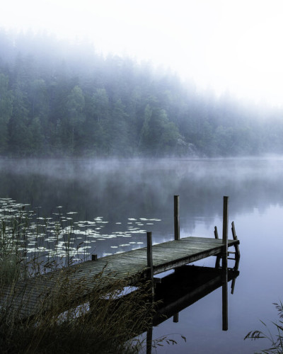Un wallpaper cu un lac liniștit înconjurat de copaci, învăluit în ceață matinală.