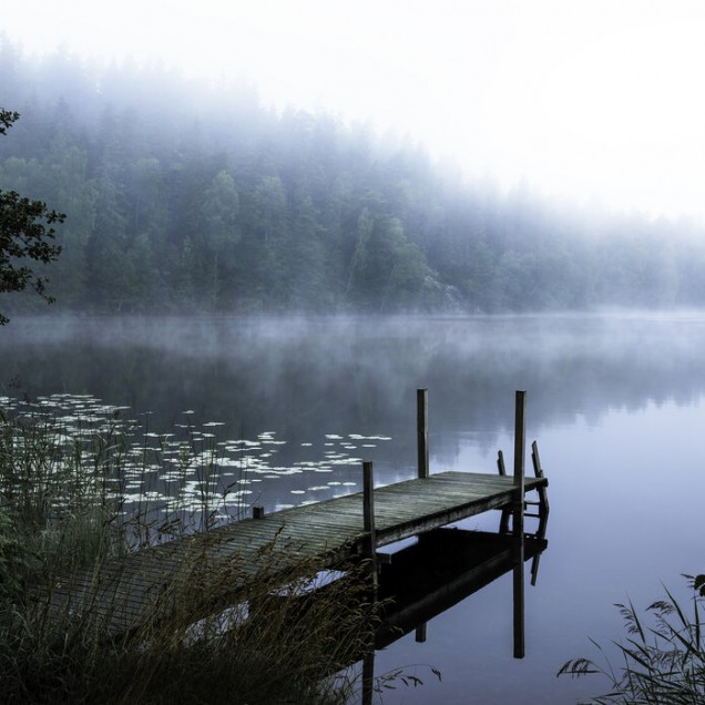 Un wallpaper cu un lac liniștit înconjurat de copaci, învăluit în ceață matinală.