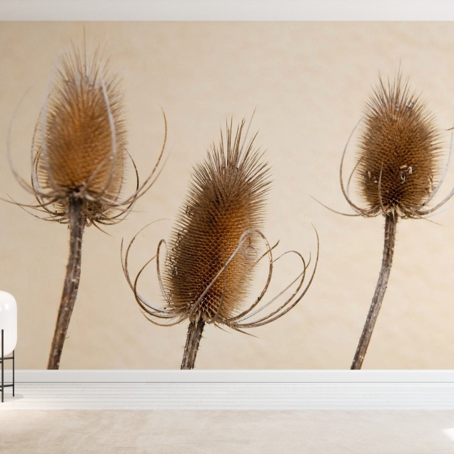 Tapet cu plante uscate, Dried Plants, Photowall, design minimalist