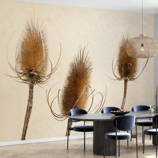 Tapet cu plante uscate, Dried Plants, Photowall, design minimalist