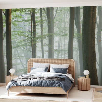Wallpaper Misty Beech Forest cu un peisaj liniștit de pădure, cu copaci înalți și o ceață ușoară. Ideal pentru dormitoare, livinguri sau birouri.