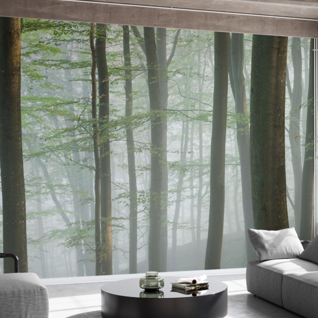 Wallpaper Misty Beech Forest cu un peisaj liniștit de pădure, cu copaci înalți și o ceață ușoară. Ideal pentru dormitoare, livinguri sau birouri.