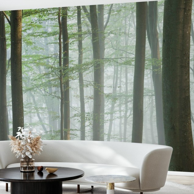 Wallpaper Misty Beech Forest cu un peisaj liniștit de pădure, cu copaci înalți și o ceață ușoară. Ideal pentru dormitoare, livinguri sau birouri.