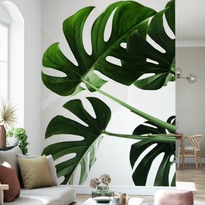 Tapet cu frunze de Monstera