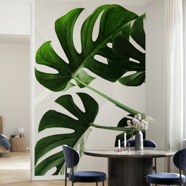 Tapet cu frunze de Monstera
