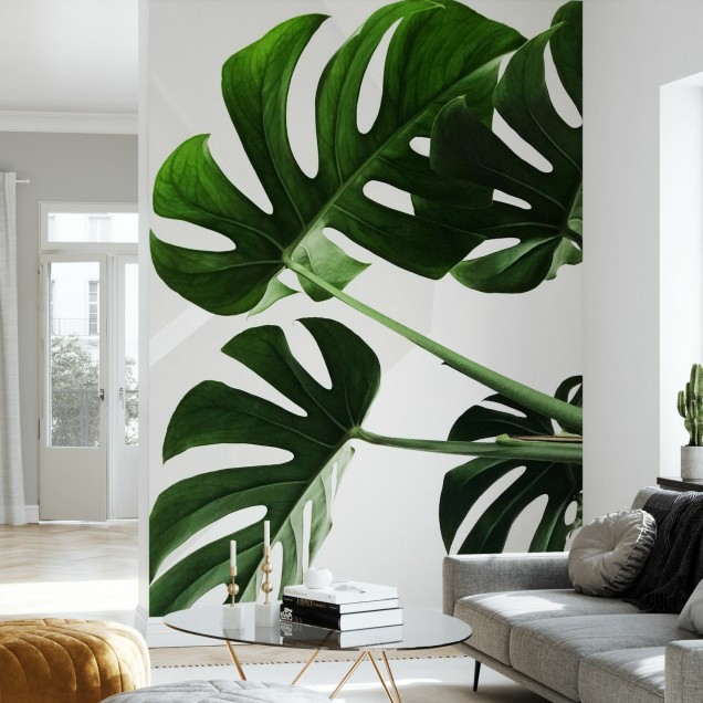 Tapet cu frunze de Monstera