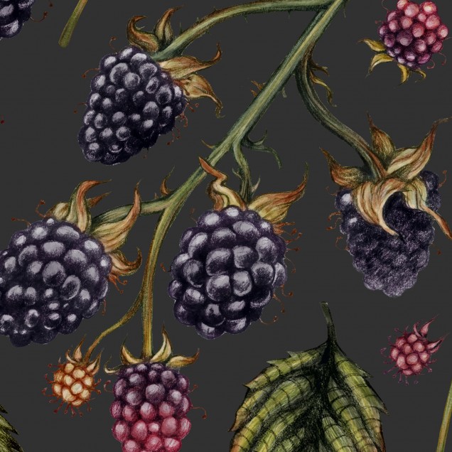Tapet Bramble Hill, Granit, cu un design modern cu fructe de padure, ideale pentru a decora livingul, dormitorul sau bucătăria.