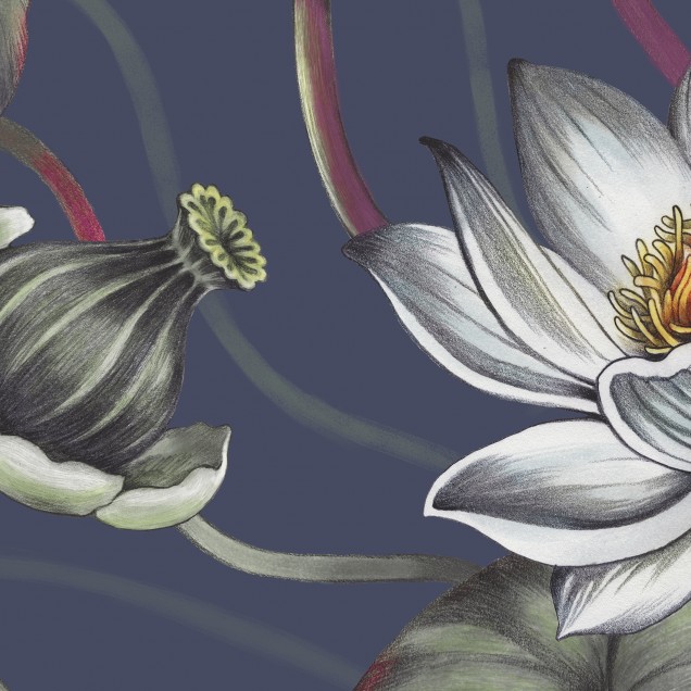 Tapet cu flori de nufăr albastre, model floral delicat, The Lily Pond, Midnight