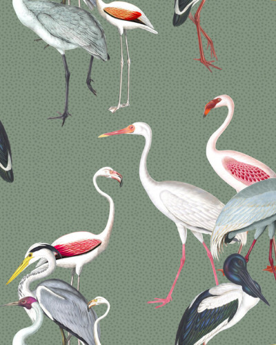 Long Necked Birds Harmony Green, Photowall