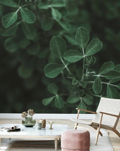 Tapet cu frunze verzi Low Key Leaf, perfect pentru un design modern și natural.