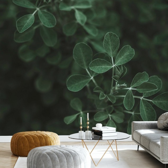 Tapet cu frunze verzi Low Key Leaf, perfect pentru un design modern și natural.
