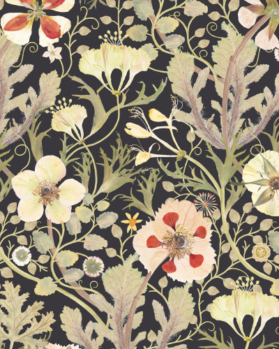 Tapet floral Anemone, Negru, cu flori delicate si frunze fine, perfect pentru un decor elegant si romantic.
