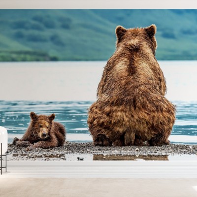 Fototapet Bear and Cub, Personalizat, Photowall, Fototapet living 