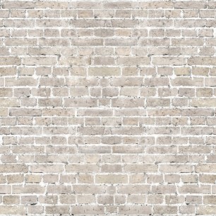 Fototapet Photowall PHW-e315765. Conține culorile: Alb, Alb-Gri, Gri, Gri Șoarece-Perlă, Verde, Verde Măsliniu-Galben, Negru, Negru Închis