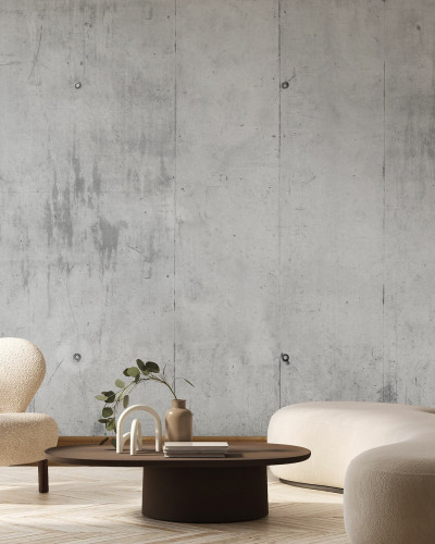 Fototapet cu aspect de beton într-un living modern