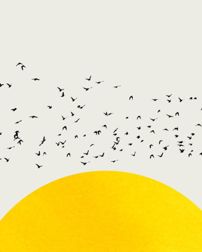 Tapet minimalist cu un soare galben vibrant și o turmă de păsări negre zburând.