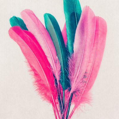 Tapet cu pene colorate, design modern si elegant.