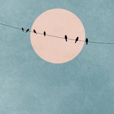 Wallpaper minimalist cu un fundal bleu pastelat, un disc soare roz și o linie cu păsări negre.