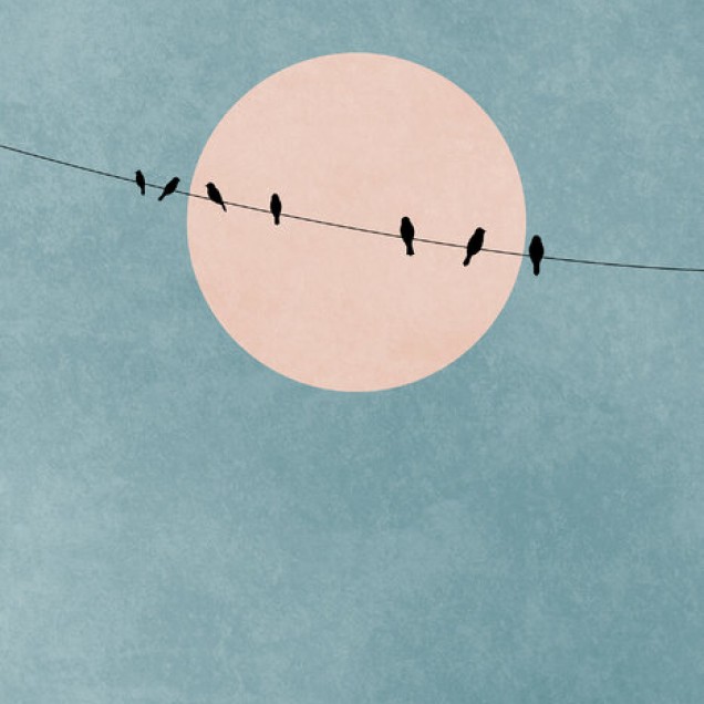 Wallpaper minimalist cu un fundal bleu pastelat, un disc soare roz și o linie cu păsări negre.