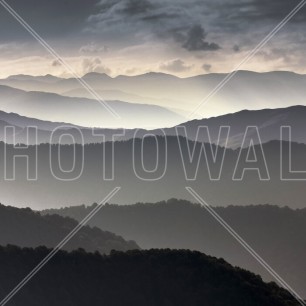 Fototapet Photowall PHW-e316145. Conține culorile: Albastru, Albastru-Negru, Gri, Gri-Albastru, Fildeș, Fildeș Deschis, Gri, Gri Platină, Verde, Verde Sticlă