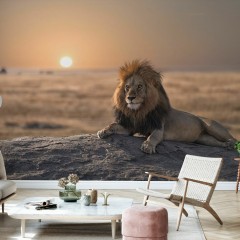 Fototapet Lion Sitting on the Rock, Personalizat, Photowall