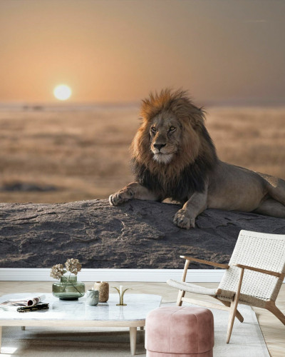 Lion Sitting on the Rock, Photowall