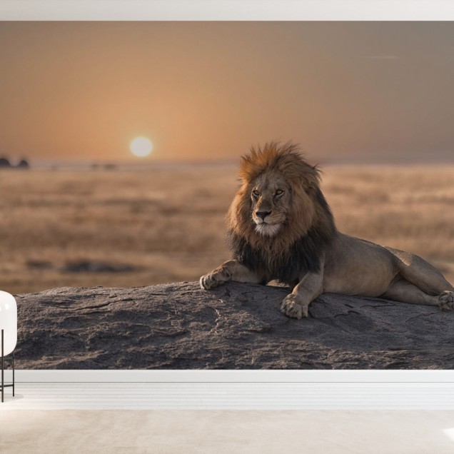 Lion Sitting on the Rock, Photowall
