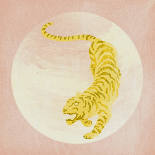 Tapet cu design modern si vibrant, Tiger pink, cu un tigru galben pe un fundal roz.