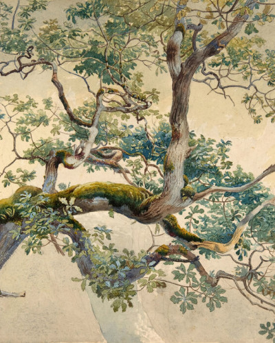 Tapet cu ramură de copac pictată cu grijă, Tree Branch Art