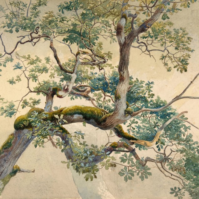 Tapet cu ramură de copac pictată cu grijă, Tree Branch Art