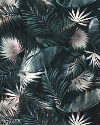 Fototapet cu frunze tropicale pe fundal întunecat