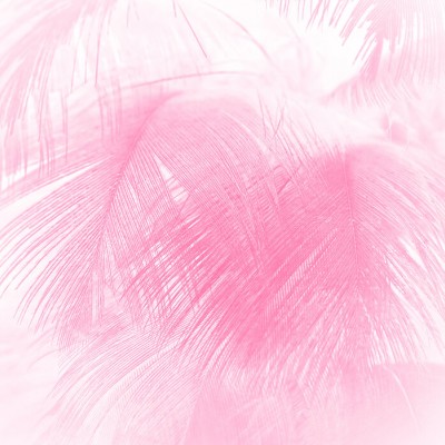 Wallpaper cu pene roz, Close Up of Feathers.