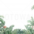 Fototapet Tropical Arrangement, Photowall