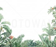 Fototapet Tropical Arrangement, personalizat, Photowall