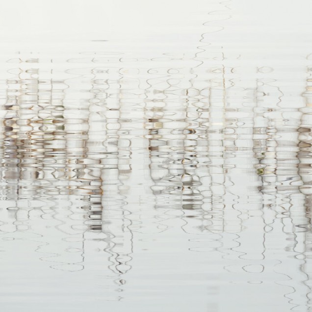 Tapet Water Light and Reed