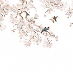 Fototapet Birds Hangout, personalizat, Photowall