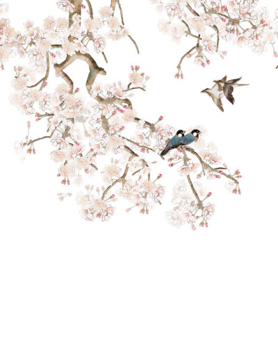 Tapet floral cu flori de cireș și păsări elegante, perfect pentru o atmosferă relaxantă