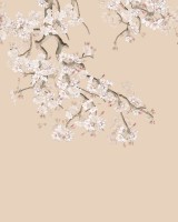 Hanging Branches, Peach, Photowall