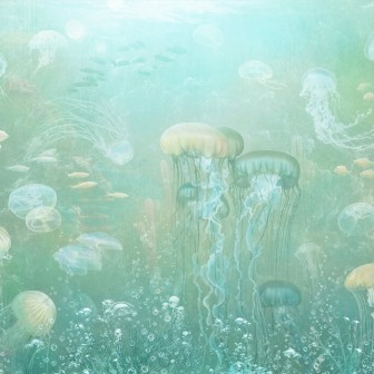 Fototapet Jellyfish Garden, Green, Photowall