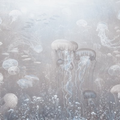 Fototapet cu meduze in tonuri sepia, decorat cu plante si mobilier modern