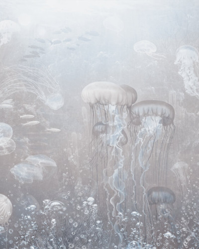 Fototapet cu meduze in tonuri sepia, decorat cu plante si mobilier modern