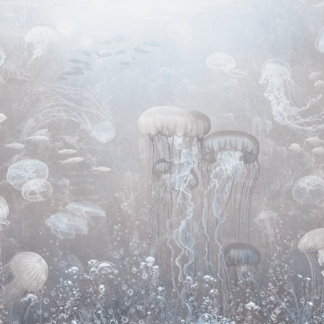 Fototapet cu meduze in tonuri sepia, decorat cu plante si mobilier modern